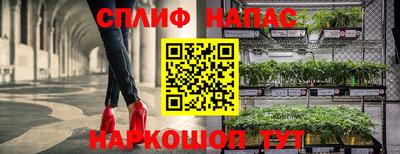 молекула духа Лесосибирск