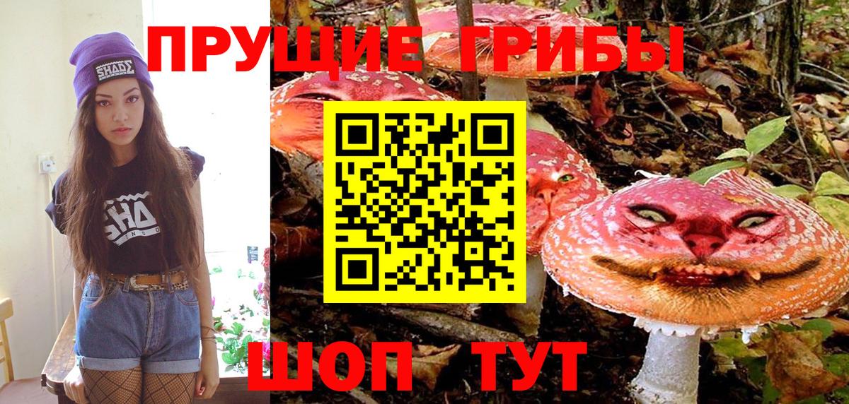 Псилоцибиновые грибы Psilocybe Якутск