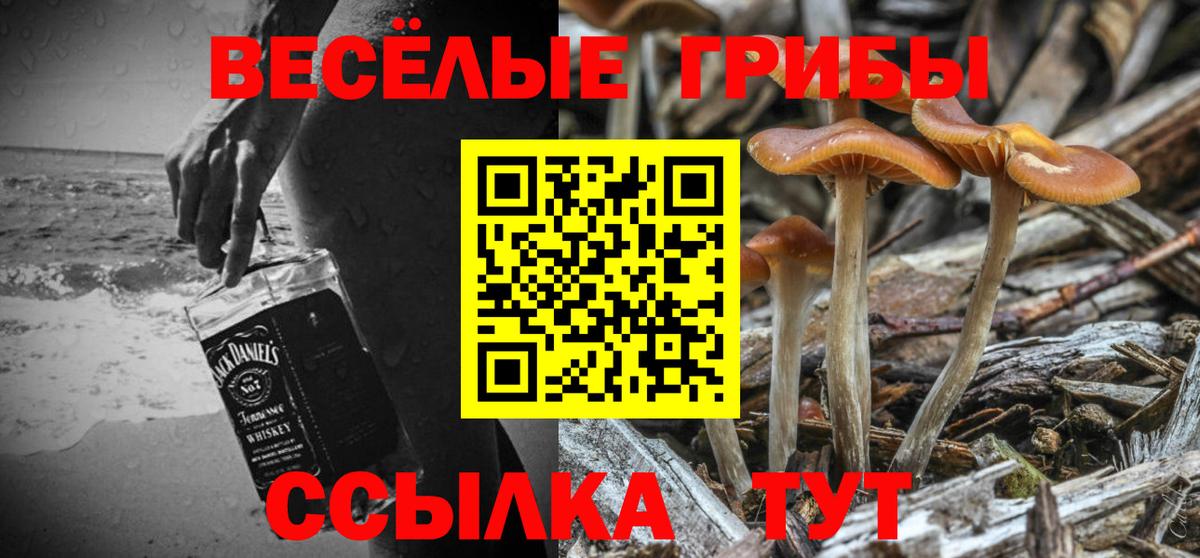 Якутск  Псилоцибиновые грибы мухоморы  Вход с VPN  Галлюциногенные грибы Psilocybine cubensis 